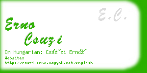 erno csuzi business card